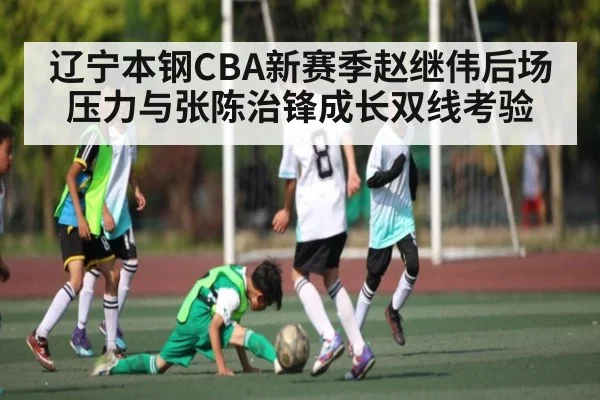 辽宁本钢CBA新赛季赵继伟后场压力与张陈治锋成长双线考验（kaiyun）