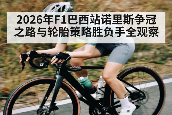 2026年F1巴西站诺里斯争冠之路与轮胎策略胜负手全观察 - kaiyun
